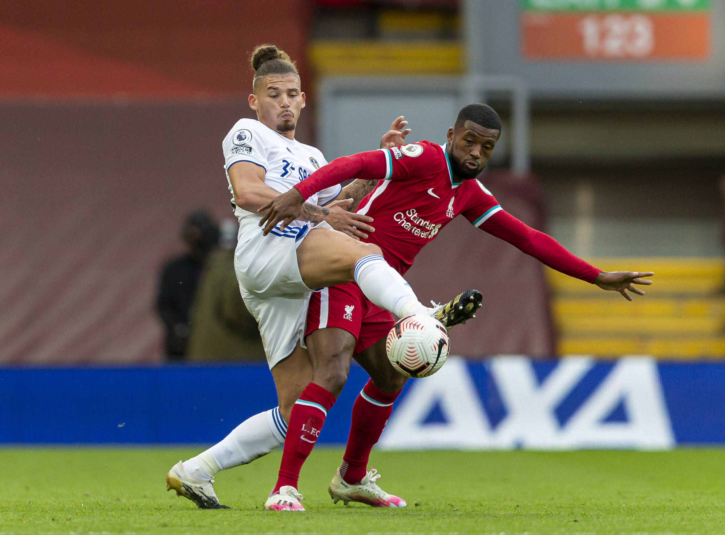 养他比赛成 养他比赛成